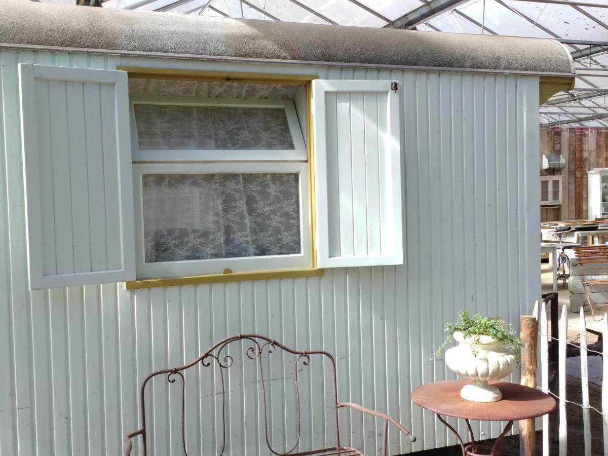 Pipowagen Overnachting Het Houten Huis Zaltbommel Exterior foto